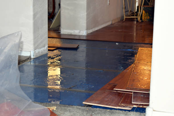 Professional Sewage Cleanup technician working in Franklin, MA